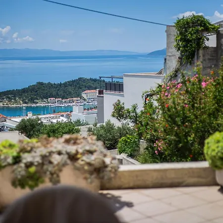 Apartment Branka *